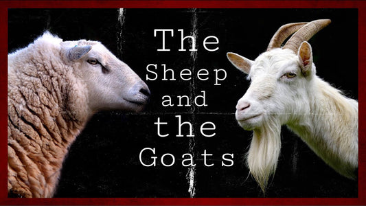 Between Goats and Sheep