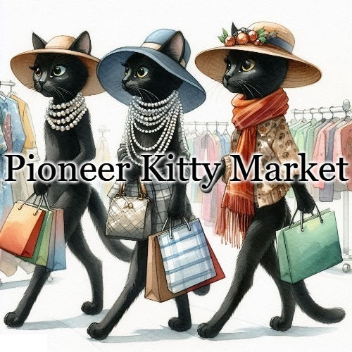 Pioneer Kitty Market