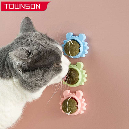 Healthy Cat Catnip Wall-Mounted Toy Snack Ball  Pioneer Kitty Market   
