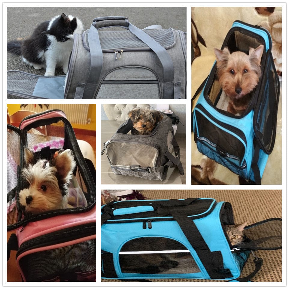Pet Messenger Carrier Travel Bag  Pioneer Kitty Market   