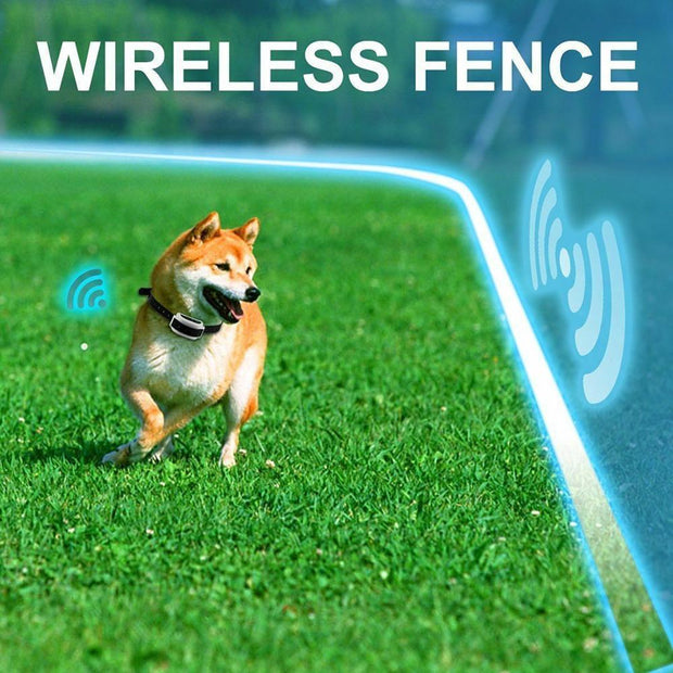 Pet Wireless Fence Shock Collar