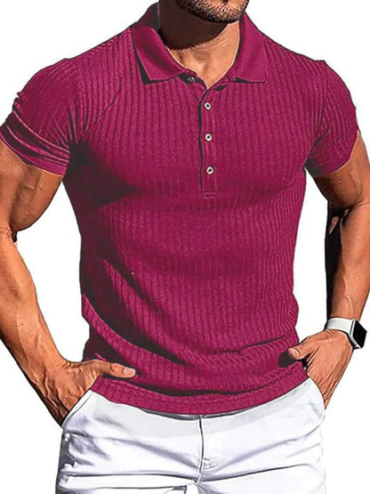 Men's Cotton High Stretch Slim Fit Vertical Stripe Short Sleeve Polo Shirt  Pioneer Kitty Market Purplish red S 